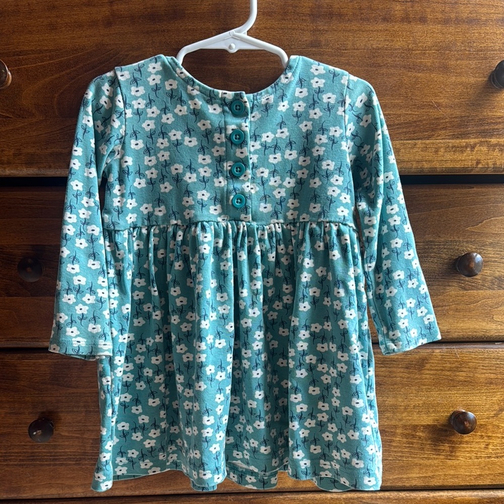 Floral Button-Down Long Sleeve Teal & White Cotton Hanna Andersson Dress